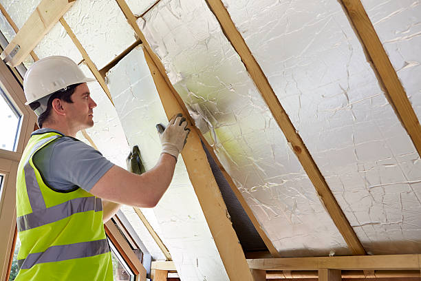 Best Insulation Materials and Products in Lake Magdalene, FL