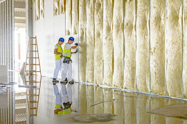 Best Commercial Insulation in Lake Magdalene, FL
